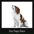 Sleepy Dog Zone