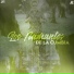Los Flamantes De La Cumbia