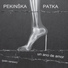 Pekinska patka