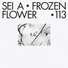 Sei A