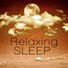 Sleep & Dream Academy