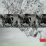 Думкид