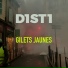 D1ST1