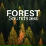 Relax Tea