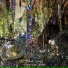 Briar Circle