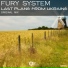 Fury System