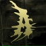 Attila