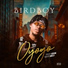 Birdboy