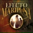 Efecto Mariposa
