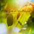 Reiki Music Energy Healing
