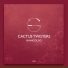Cactus Twisters