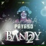 Grupo Bandy2