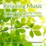 Relaxing Music Therapy, Yoga Music, Relaxing Music