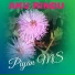 Piyan MS