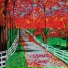 October Road Acoustic Duo