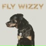 Fly Wizzy