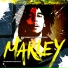 Bob Marley & The Wailers