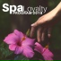 Spa World Academy