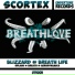Scortex