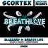 Scortex