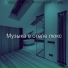 Музыка в отеле люкс