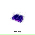 Plum Bear