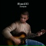 ShanDII