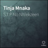 S.T.P No Nhlekzeen
