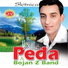 Pedja Alic