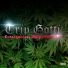 Trip Gotti