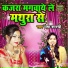 Usha Shastri