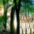 Razbo
