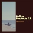 Rolling Blackouts Coastal Fever