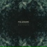 Poldoore