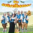 Die Stürzlhamer