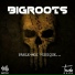 Bigroots