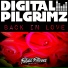 Digital Pilgrimz