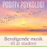 Morgenmusik Positive