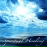 Healing Music Spirit