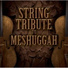 String Tribute Players