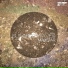 MaxStar