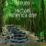 Steven Michael