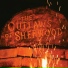 The Outlaws of Sherwood