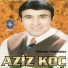 Aziz Koç