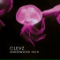 Clevz