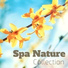 Nature Balance & Spa Music Collective