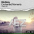 BluSkay