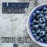 BLUEBERRY SUNSHINE