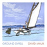 David Mauk