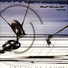 Auricular